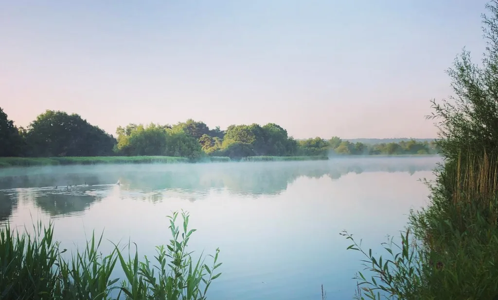 Stomp Fitness at Frensham Pond, Farnham